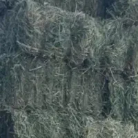 یونجه خالص خشک