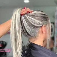 جذب نیروی حرفه ای رنگ و لایت