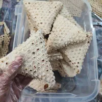 سمبوسه خام خانگی با ادویه مخصوص و مواد تازه