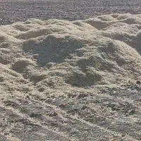 کاه گلرنگ