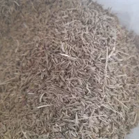 کرابیه دیمه