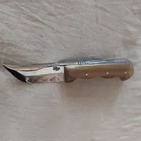 چاقو محمد طلا دوعدد دسته نباتی سالم