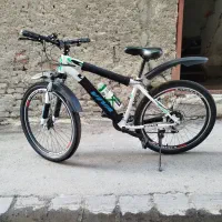 دوچرخه طرح ویوا در حد