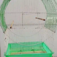 قفس پرنده