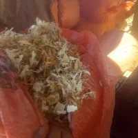 پوشال چوب درجه یک بستر