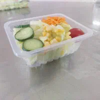سالاد فصل + سبزی خوردن + ریحان + سبزیجات خرد شده