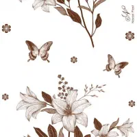 طاق سفره و کیسه زباله