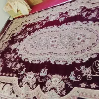 قالی