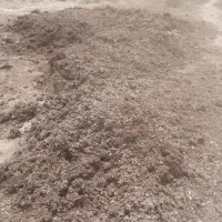 کود مرغی