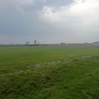 فروش-300متر-زمین-مسکونی-سند-دار-چمخاله
