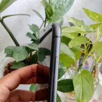 iPhone 11|موبایل|کرمان, |دیوار