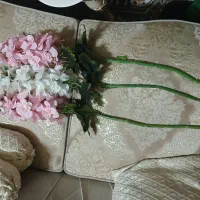 گل های کاملا نو و سالم فقط۶۰۰