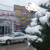 کافی نت لیان