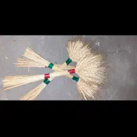 سنبل گل گندم