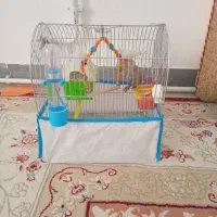 فنج