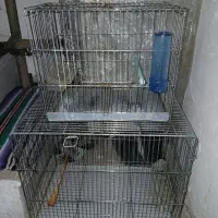 قفسه  و.   بخاری.    فروش و معاوضه