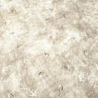 موکت پالاز