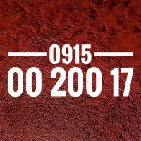 17 200 00 0915 دوخط باهم