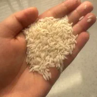 برنج علی کاظمی درجه یک گیلان