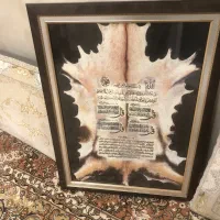تابلو طرح پوست