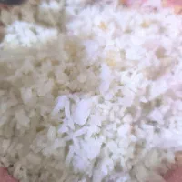 پخش برنج سینا