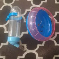چرخ فلک و ابخوری همستر