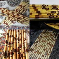 نی هفت بند« دندانی »