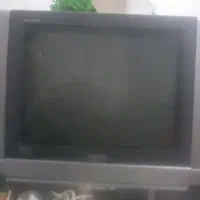 تلوزیون