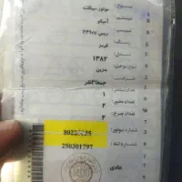 موتور سوزوکی 250