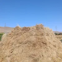 علف|لوازم جانبی حیوانات|زنجان, |دیوار