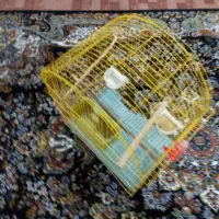 قفس|لوازم جانبی حیوانات|آبیک, |دیوار