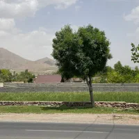 ۲۵۰متر/سرمایه گذاری/فشند