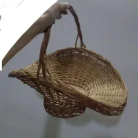 سبدگل بزرگ