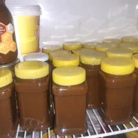 رب الو بخارا زرد