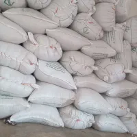 گندم مفت کیلو ۴۶