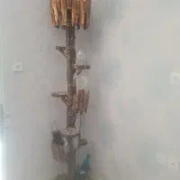 بارومیزمنشی