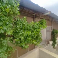 ویلایی با وسایل ( نزدیک نیشابور )فقط ۲روز این قیمت