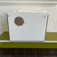 لانه تخم گیری عروس هلندی