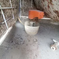 کولر