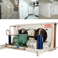 تعمیر و نصب چیلر و سردخانه فریونی