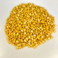 لپه درجه یک آذر شهر