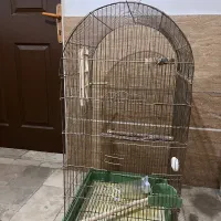 قفس پرنده