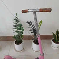 اسکوتر