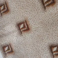 موکت در حد نو