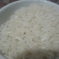 طارم هاشمی