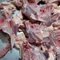 اشغال گوشت گردن اسکلت بال پاچین موجود قیمت مناسب