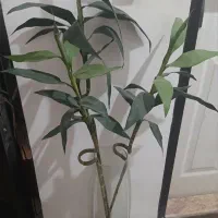 گل بامبو مصنوعی با گلدان شیشه ای