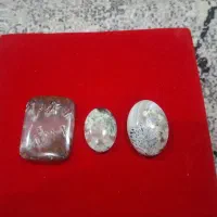 شجر طبیعی