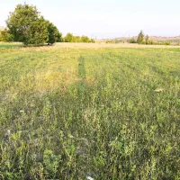 زمین باغ شهری چهل چشمه ارژن