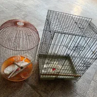 قفس پرنده